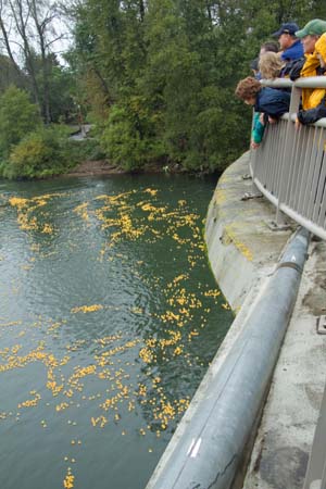 DuckRace_10-32